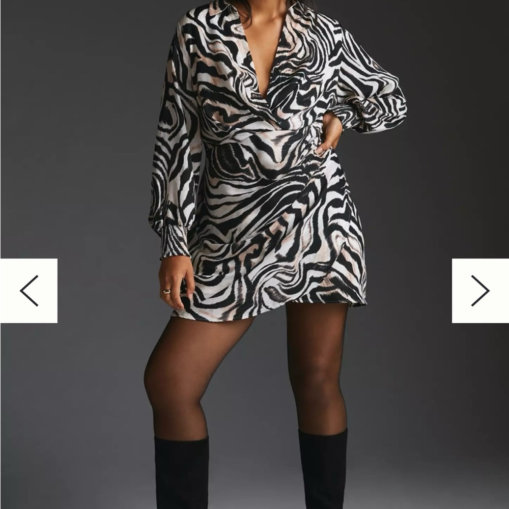 Anthropology Chic Zebra Print mini Dress size large - Picture 5 of 6